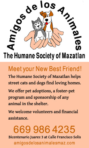 Mazatlan Humane Society