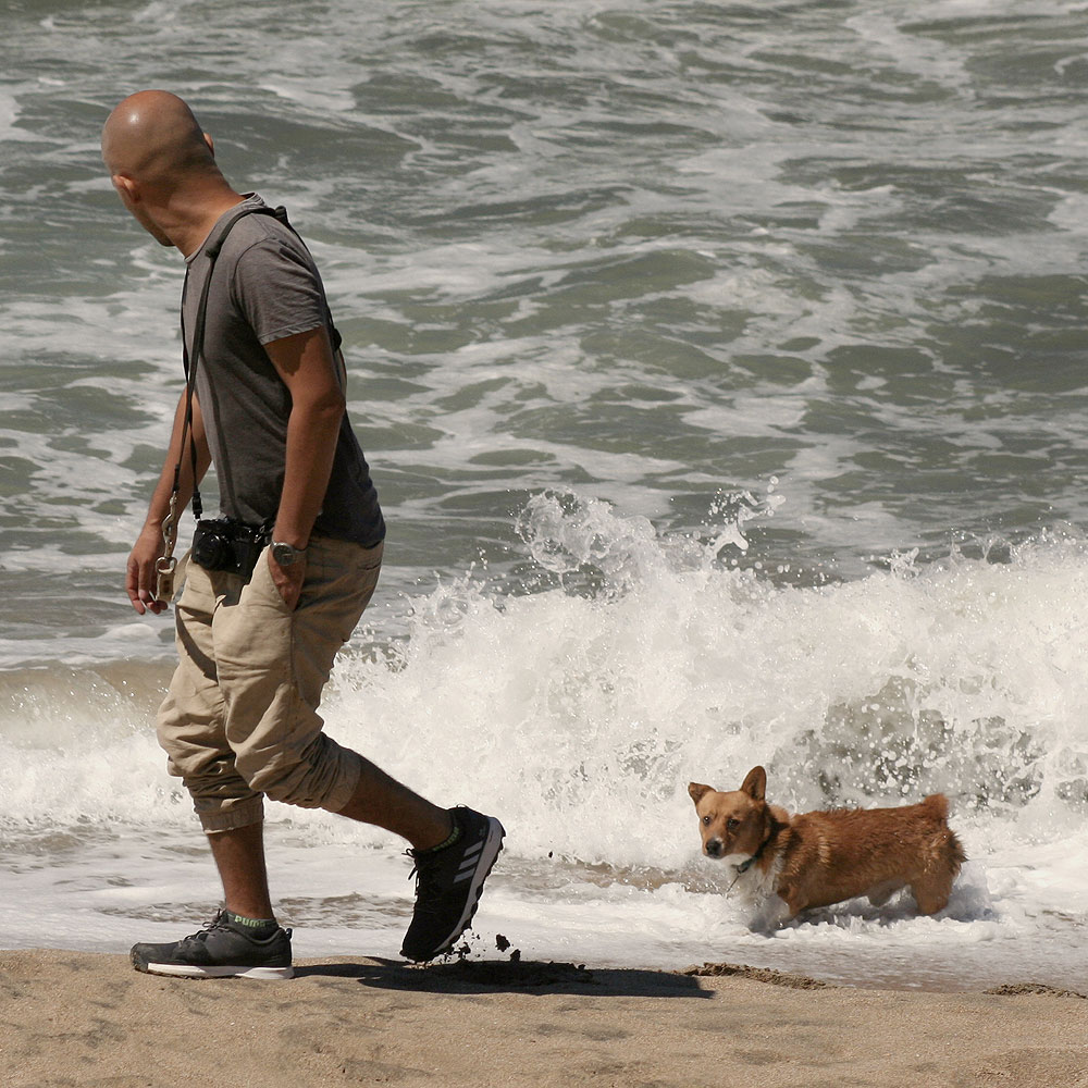 Hombre y su perro en la playa de Mazatlán
