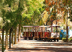 Train in the Mazatlan city park