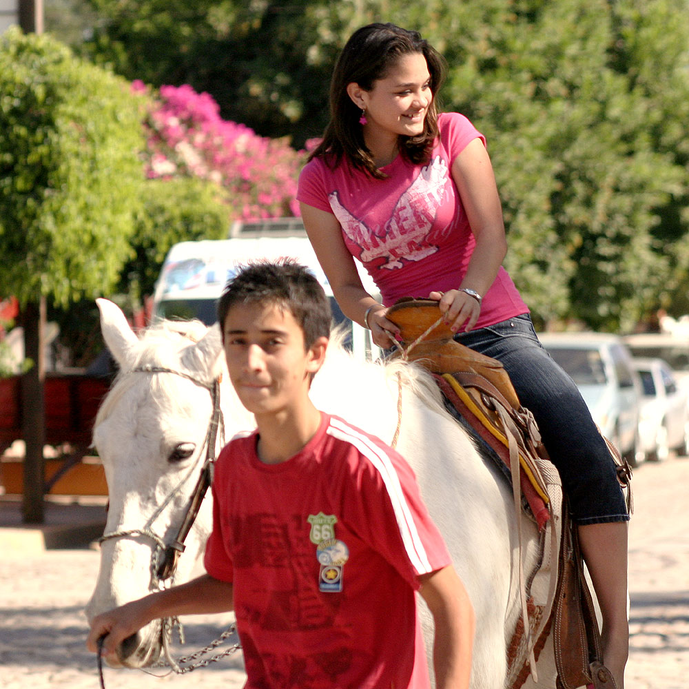 Horseback riding lessons in El Quelite Sinaloa Mexico
