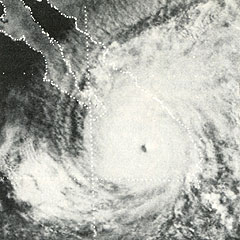 1975 Hurricane Olivia satelite photograph