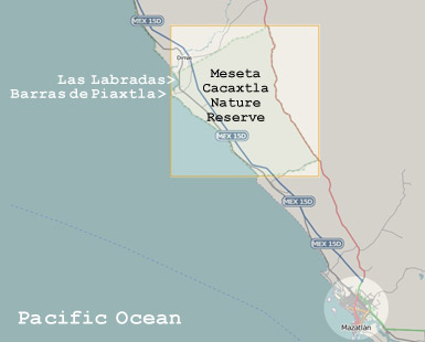 Map Meseta Cacaxtla